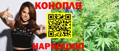 сатива Чебаркуль