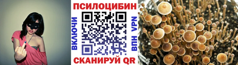 Псилоцибиновые грибы Psilocybe  Миасс 