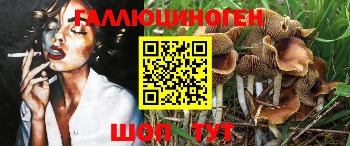 Псилоцибиновые грибы Psilocybe  Вход с VPN  Миасс  Псилоцибиновые грибы ЛСД 